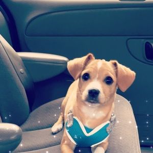 Meet your Posher, Jimena